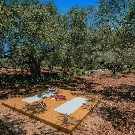 Idalia Retreat By