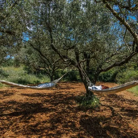 Idalia Retreat By וילה אגיוס ניקולאוס